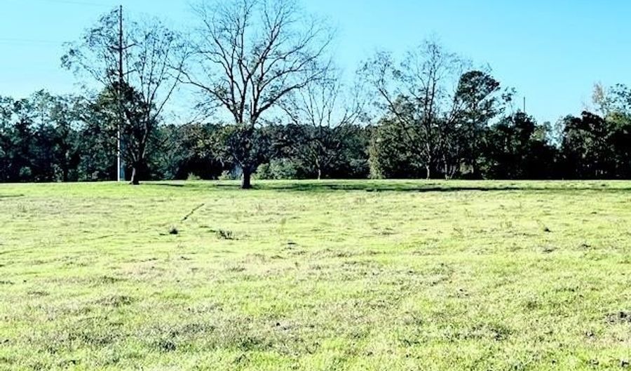 18760 Leon Wiggins Rd, Andalusia, AL 36420 - 0 Beds, 0 Bath
