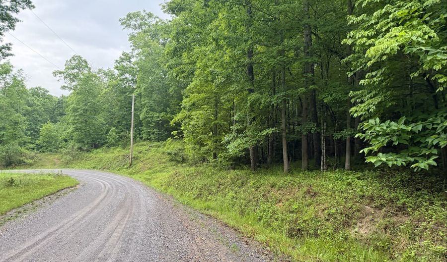 Tdb Cove Creek Rd, Bastian, VA 24314 - 0 Beds, 0 Bath