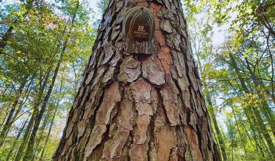 0 Hwy 8, Aberdeen, MS 39730 - 0 Beds, 0 Bath