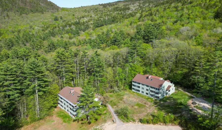 14 E Seasons At Attitash Rd E, Bartlett, NH 03812 - 2 Beds, 2 Bath