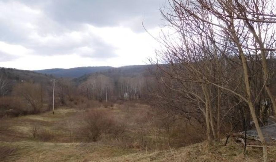 MOLER DRIVE, Augusta, WV 26704 - 0 Beds, 0 Bath