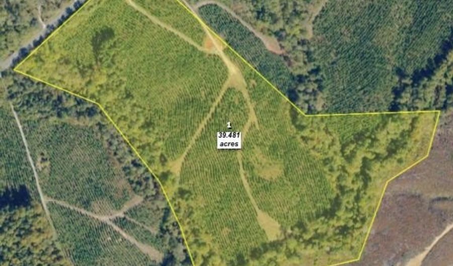 Old Courthouse Road, Appomattox, VA 24522 - 0 Beds, 0 Bath