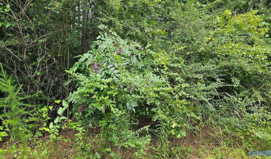 115 Christian Way, Attalla, AL 35954 - 0 Beds, 0 Bath