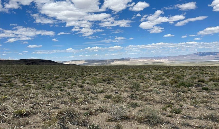 510 GILLUM Ln, Dyer, NV 89010 - 0 Beds, 0 Bath