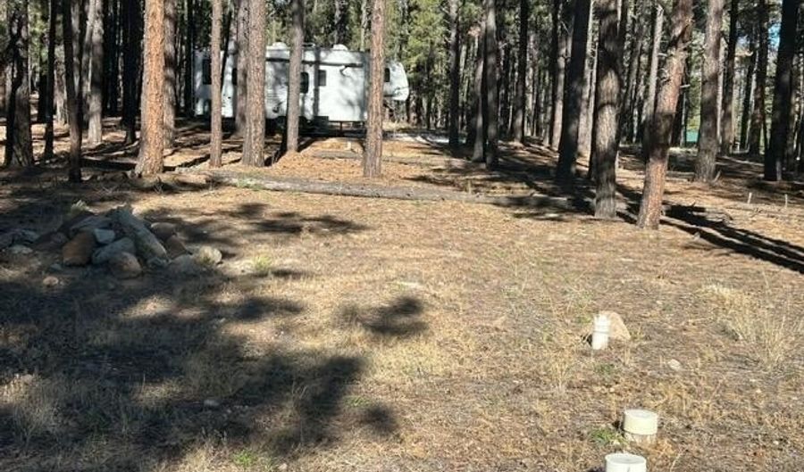 CR N2121, Alpine, AZ 85920 - 0 Beds, 0 Bath