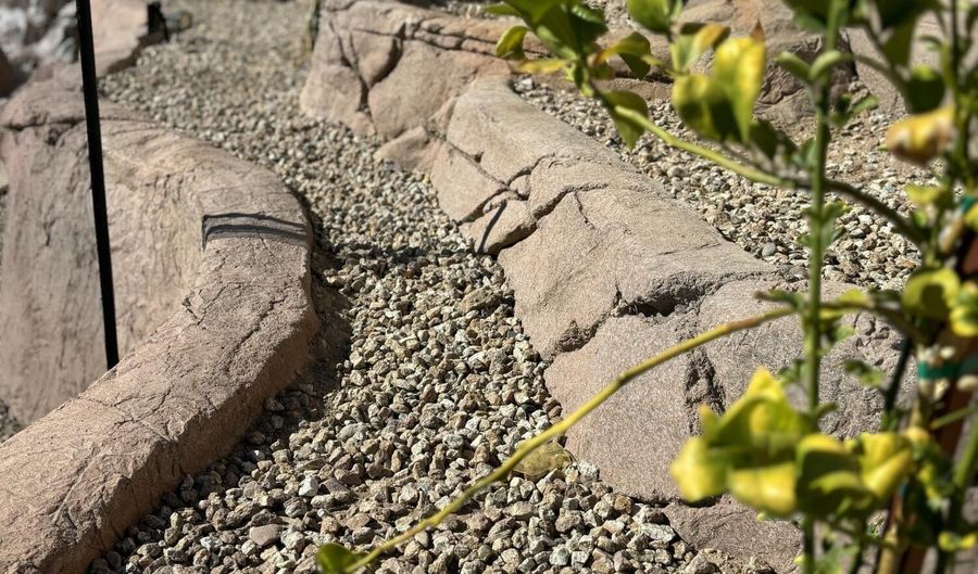 1302 W HONEYSUCKLE Ln, Chandler, AZ 85248 - 4 Beds, 2 Bath