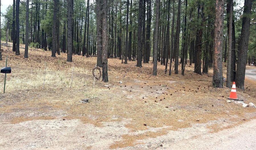 CR2325, Alpine, AZ 85920 - 0 Beds, 0 Bath