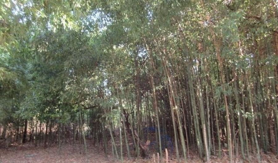 133 Holly Rd, Absecon, NJ 08201 - 2 Beds, 1 Bath