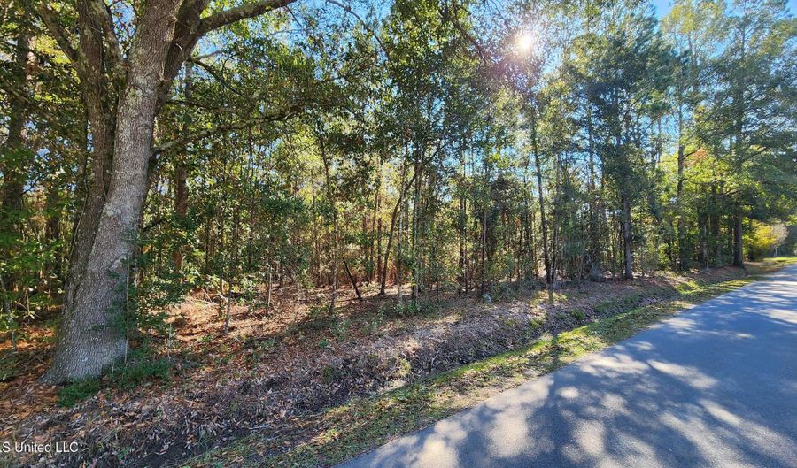 Sunflower Street lot 10, Bay St. Louis, MS 39520 - 0 Beds, 0 Bath