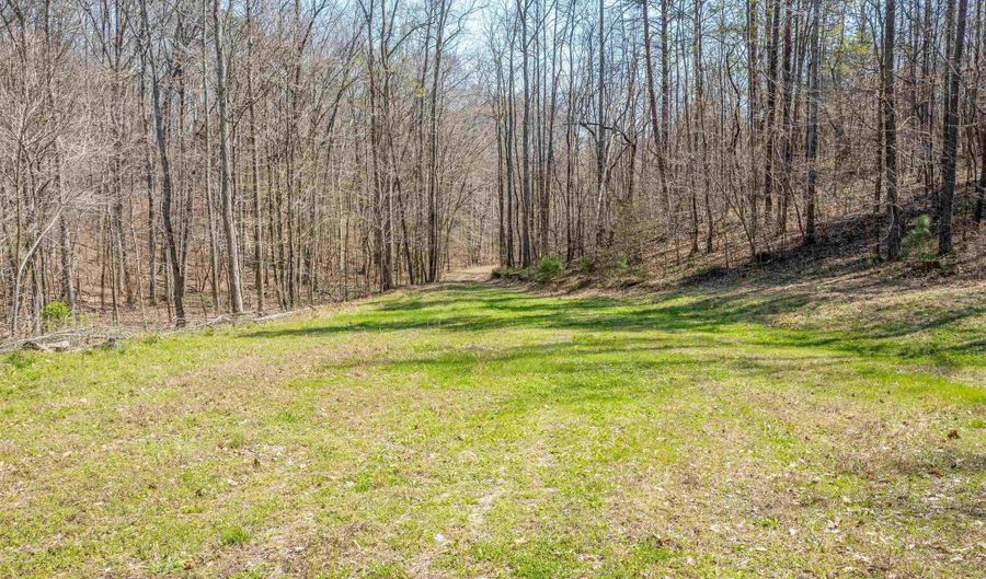 163 Acres Duck Springs Rd, Attalla, AL 35954 - 0 Beds, 0 Bath