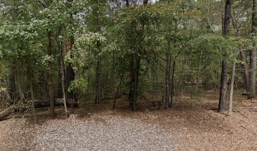 15001 LOCK 17 ROAD Lot 6.435, Adger, AL 35006 - 0 Beds, 0 Bath