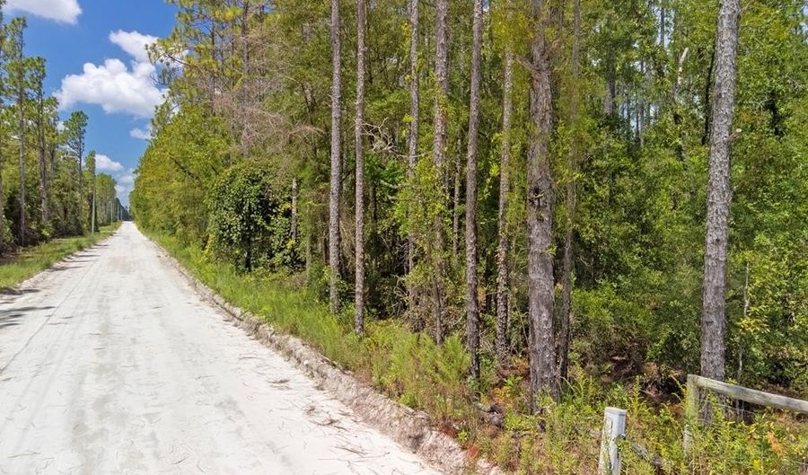 TBD 65th St, Bell, FL 32619 - 0 Beds, 0 Bath