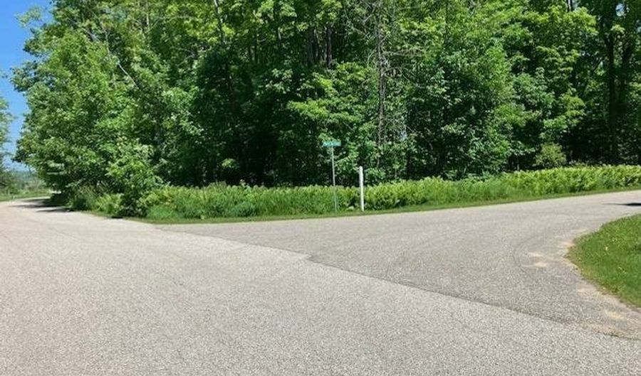 TBD MAPLE ISLE COURT UNIT 32, Alanson, MI 49706 - 0 Beds, 0 Bath