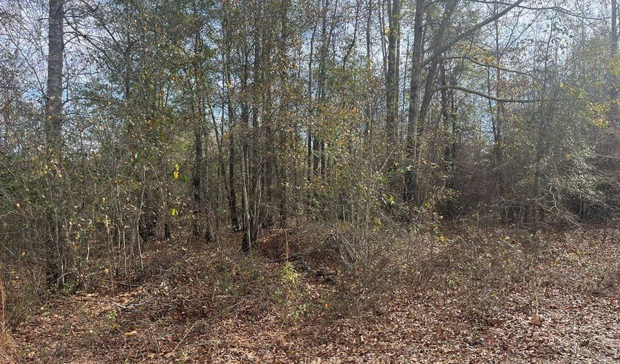 County Road 99, Abbeville, AL 36310 - 0 Beds, 0 Bath