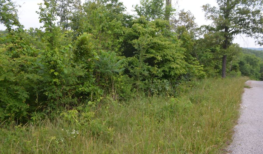 Lot 6 Scenic Heights, Bruner, MO 65620 - 0 Beds, 0 Bath