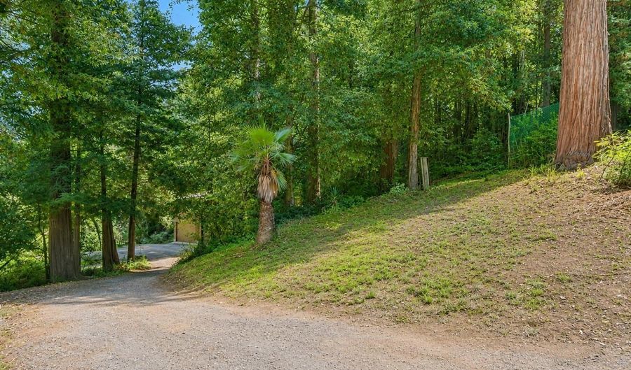 3750 Trout Gulch Rd, Aptos, CA 95003 - 5 Beds, 2 Bath