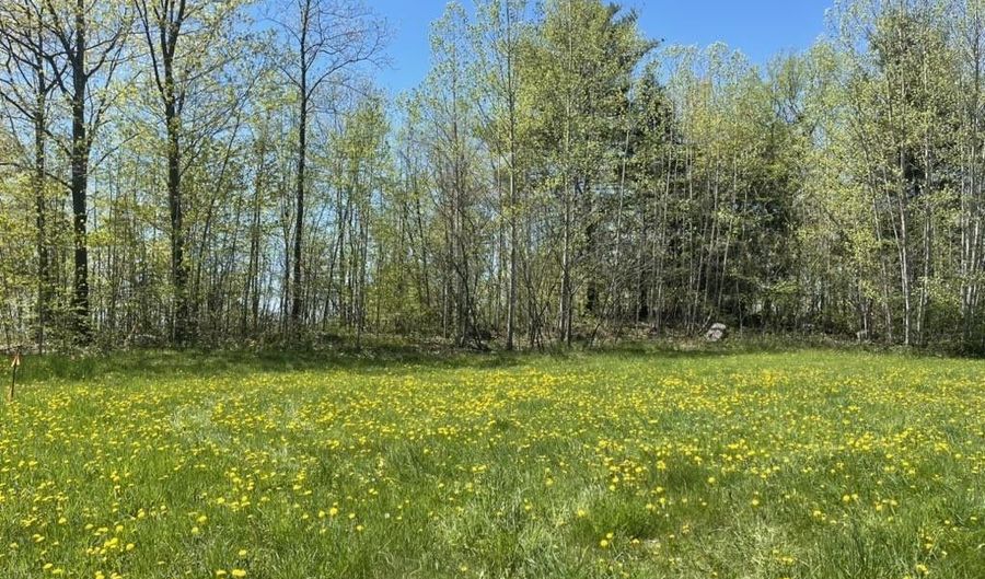 TBD Forrest Road, Bridport, VT 05734 - 0 Beds, 0 Bath