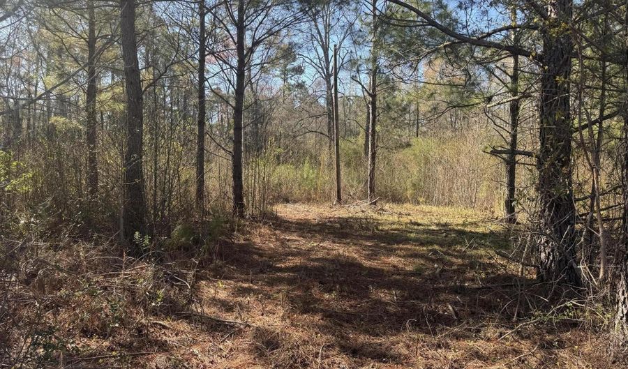 Little Prong Road NW lot 2 & 3, Ash, NC 28420 - 0 Beds, 0 Bath