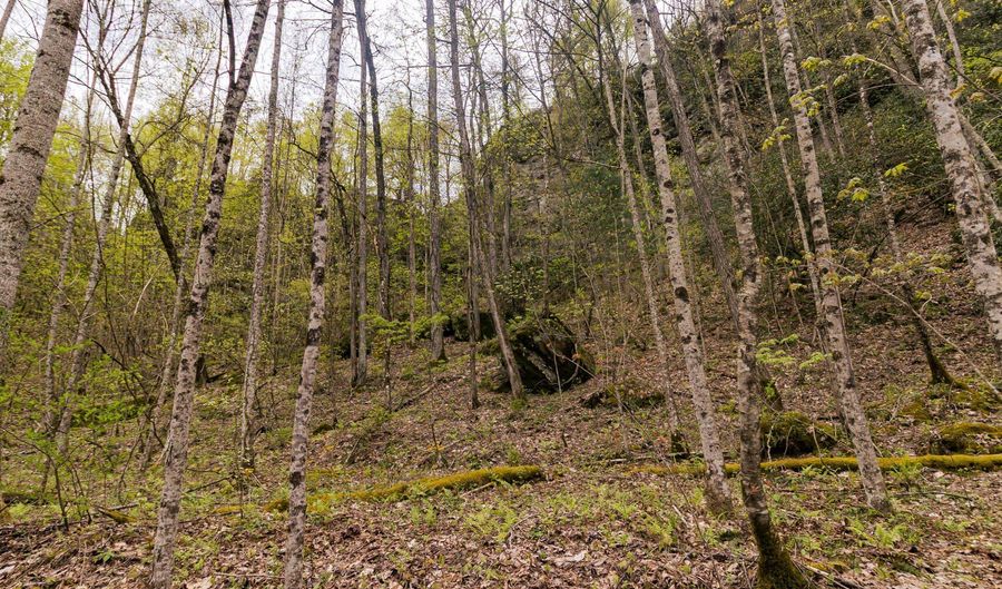 Tbd9999 Wentworth School Road, Beattyville, KY 41311 - 0 Beds, 0 Bath