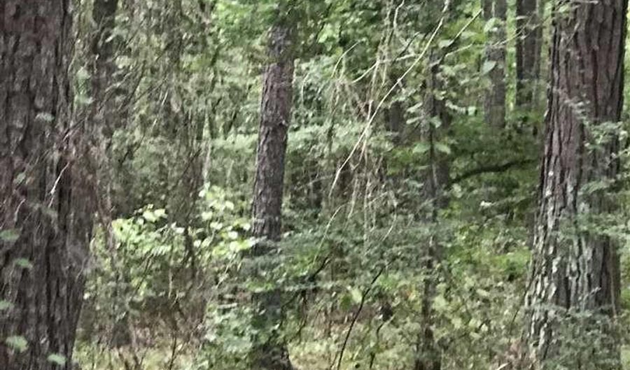 S LAKESIDE LANE lot 40, Alpine, AL 35014 - 0 Beds, 0 Bath