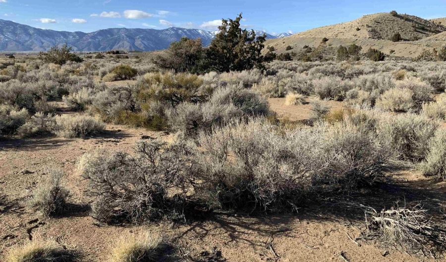 1290 Jo Ln, Gardnerville, NV 89410 - 0 Beds, 0 Bath