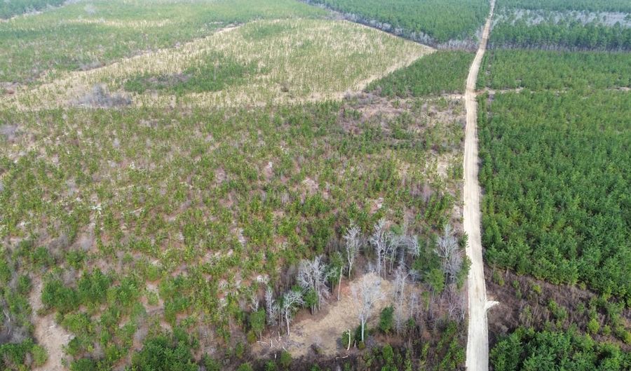 Red Oak Creek Road, Bethune, SC 29009 - 0 Beds, 0 Bath
