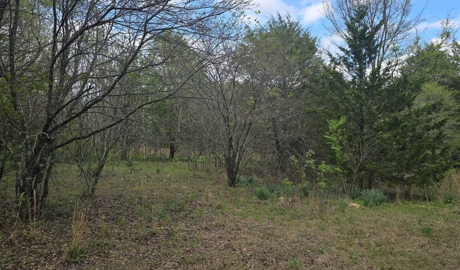 Cloverleaf Way lot 5, Antlers, OK 74523 - 0 Beds, 0 Bath