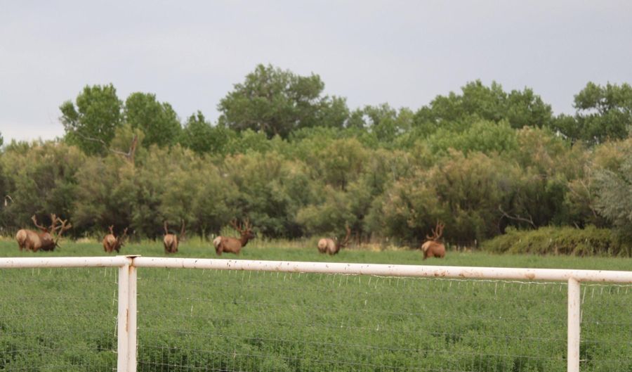 22 Paizalas Dr, Bosque, NM 87006 - 0 Beds, 0 Bath