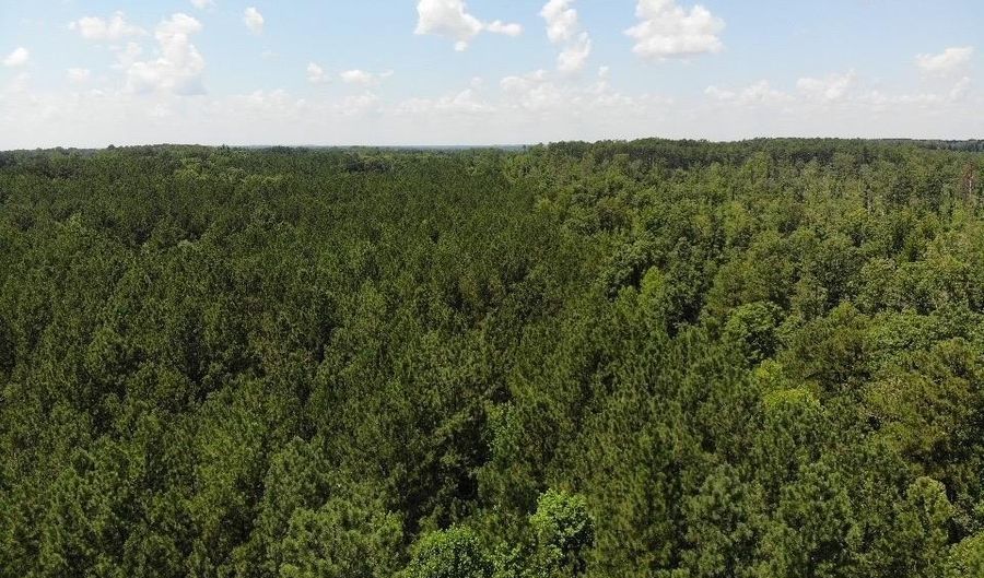 Lot 6 RICHMOND RD, Amelia Court House, VA 23002 - 0 Beds, 0 Bath