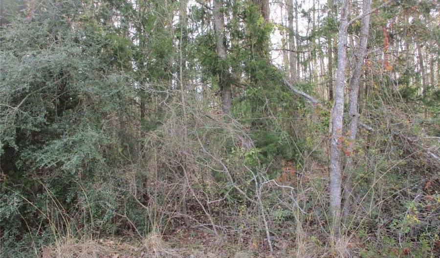 Tbd Wood County Road 2958, Alba, TX 75410 - 0 Beds, 0 Bath