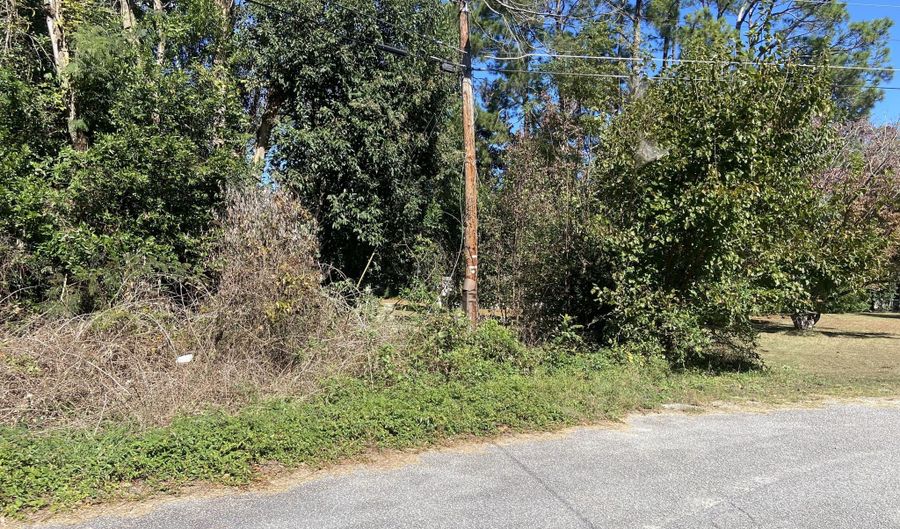 Jones Circle, Bishopville, SC 29010 - 0 Beds, 0 Bath