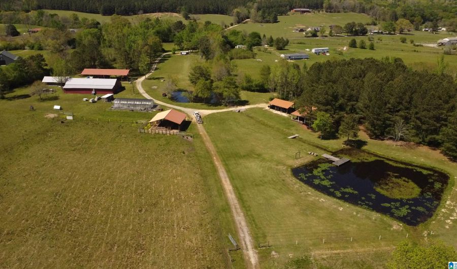 4820 COUNTY ROAD 22, Ashville, AL 35953 - 2 Beds, 1 Bath