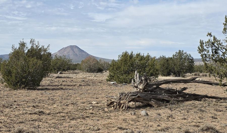 245 Antelope Run Rd, Ash Fork, AZ 86320 - 0 Beds, 0 Bath