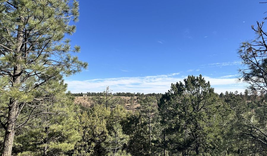 T15B Partridge Ct. lot Tract 15B, Alto, NM 88312 - 0 Beds, 0 Bath