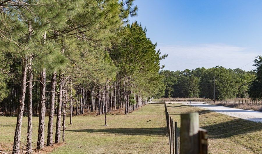 NW 41st Cir, Bell, FL 32619 - 0 Beds, 0 Bath