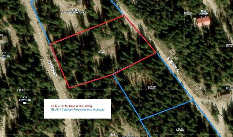 868 NUTHATCH Dr, Alma, CO 80420 - 0 Beds, 0 Bath
