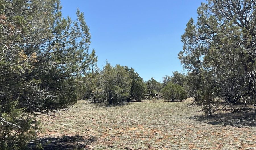 61 Norma Sw4 Rd, Ash Fork, AZ 86320 - 0 Beds, 0 Bath