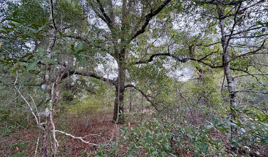 Sadorus Avenue lot 14, Alford, FL 32420 - 0 Beds, 0 Bath