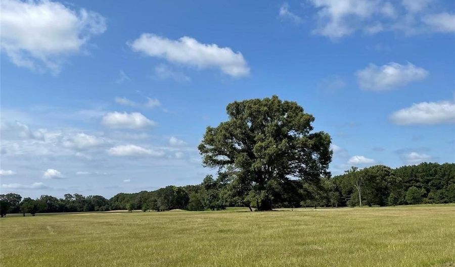 Lot 5b Rains County Road 2420, Alba, TX 75410 - 0 Beds, 0 Bath
