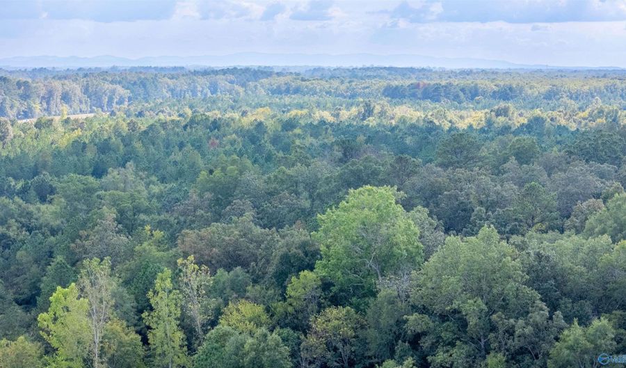 77 Acres Wilson St, Attalla, AL 35954 - 0 Beds, 0 Bath