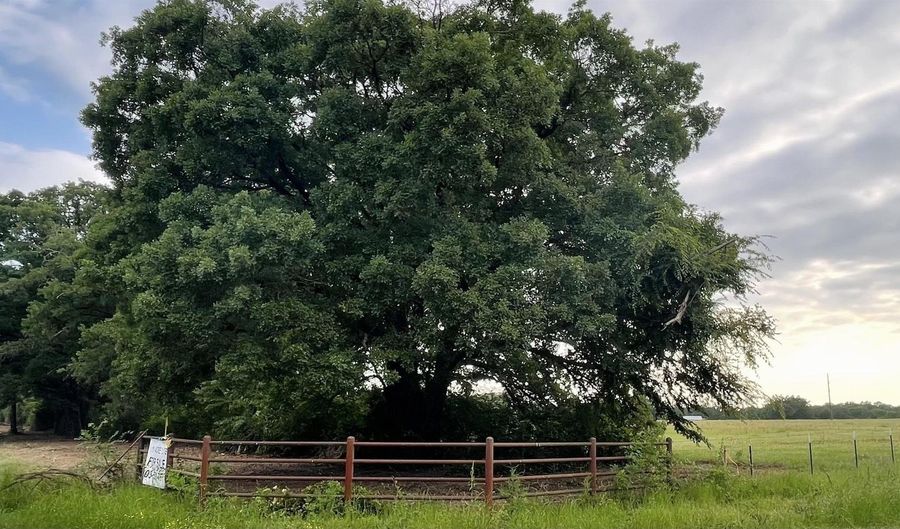 LOT 4 CR 1560, Alba, TX 75410 - 0 Beds, 0 Bath