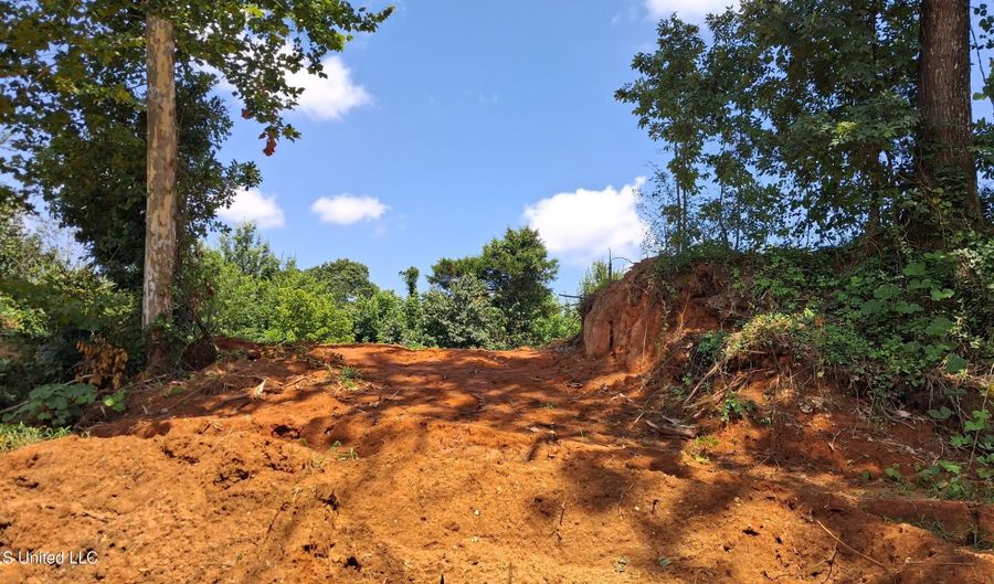 Gray Academy Road, Ashland, MS 38603 - 0 Beds, 0 Bath