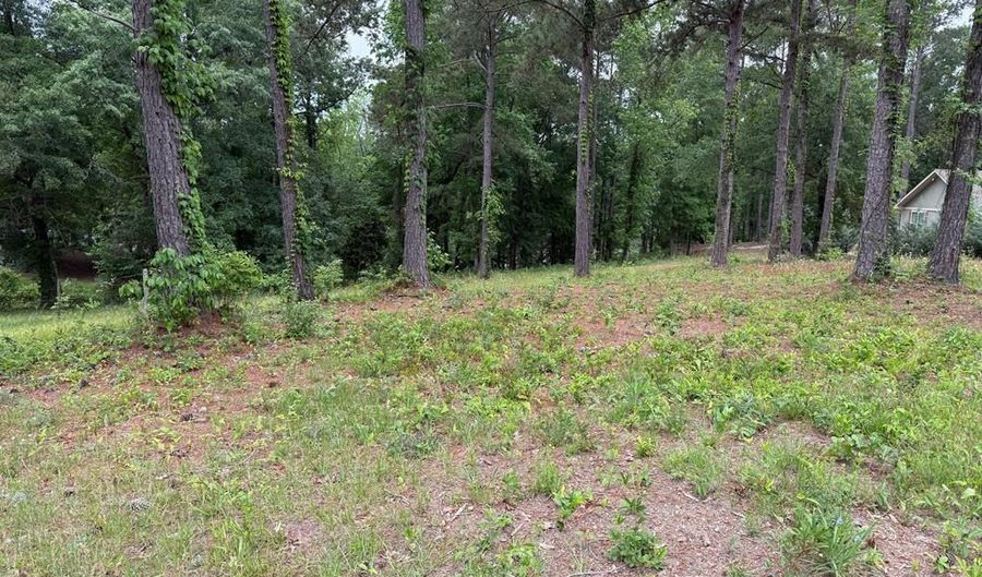 0 Powell Trce, Abbeville, AL 36310 - 0 Beds, 0 Bath