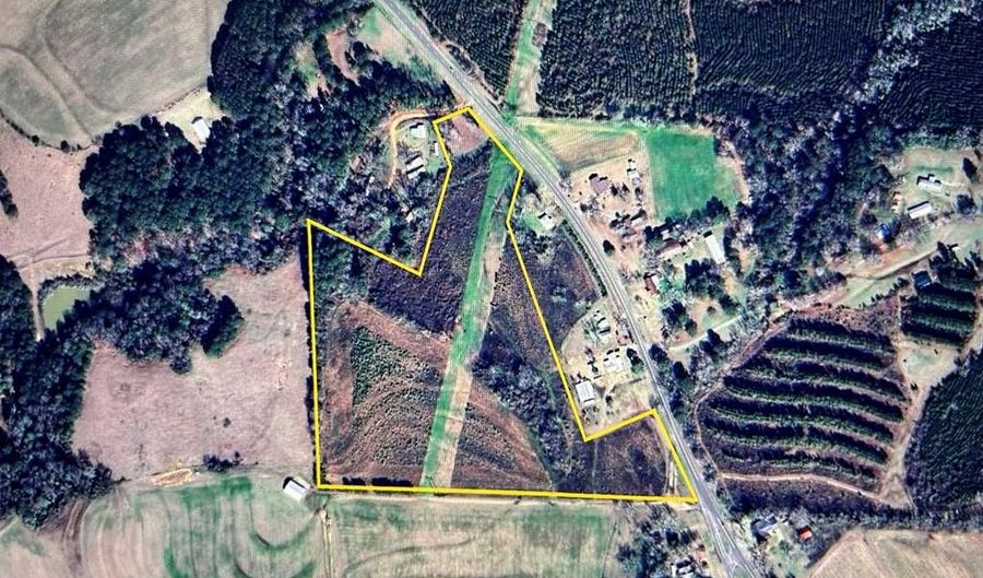 20 Ac State Hwy 95 Columbia Rd, Abbeville, AL 36310 - 0 Beds, 0 Bath