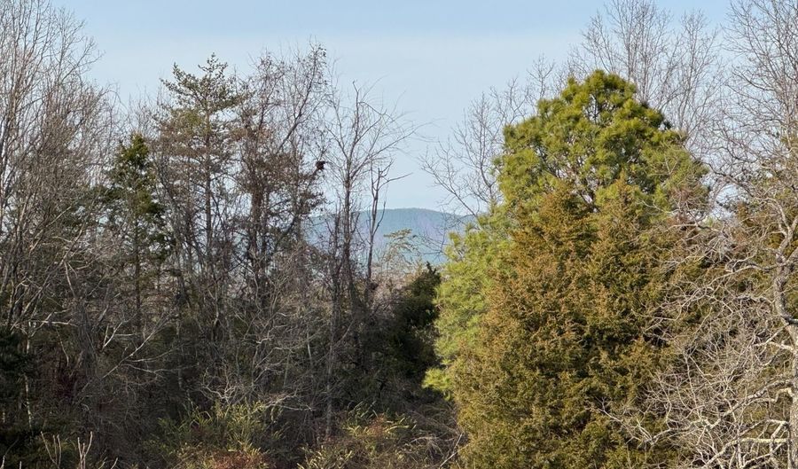 Watt Abbitt Road, Appomattox, VA 24522 - 0 Beds, 0 Bath