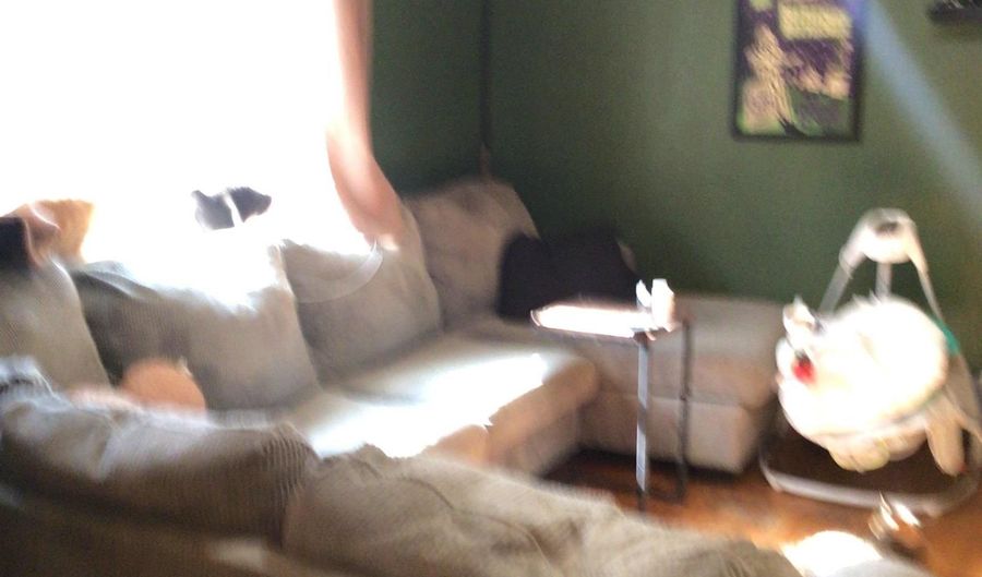 5185 Greene 203 Rd, Beech Grove, AR 72412 - 3 Beds, 1 Bath
