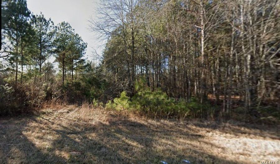 Claude Jackson 35, Aliceville, AL 35442 - 0 Beds, 0 Bath