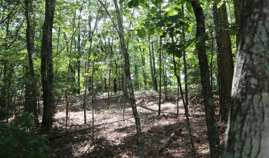 203 Saluda Bluff Rd, Batesburg Leesville, SC 29006 - 0 Beds, 0 Bath