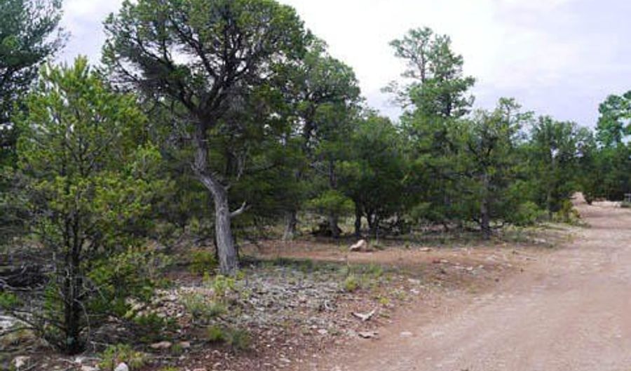 Blue water, Bluewater, NM 87005 - 0 Beds, 0 Bath