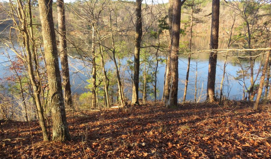 LOT # 2 ROCK RIDGE LANE, Arley, AL 35541 - 0 Beds, 0 Bath